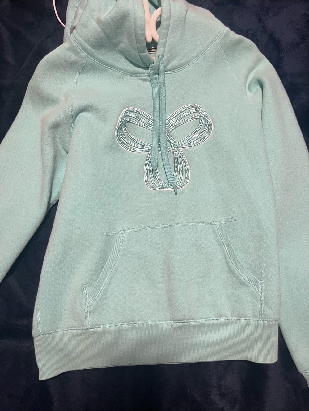 Aritzia Mint Green Hooded Pullover with Embroidered Bow
